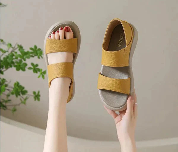 Papete Anatômica Perfect